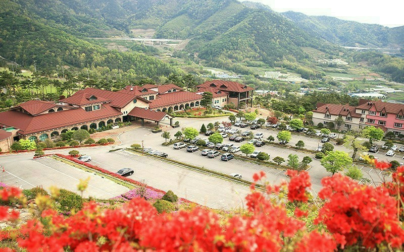 (주)동인여행사 이미지
