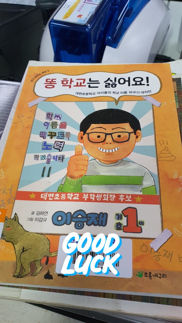 다일린 이미지