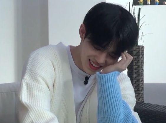 가이드쿱 이미지