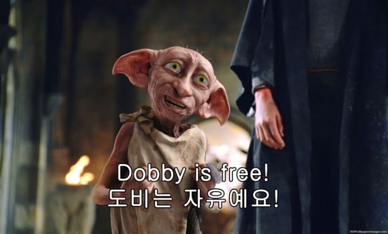 고려유료직업소개소 이미지