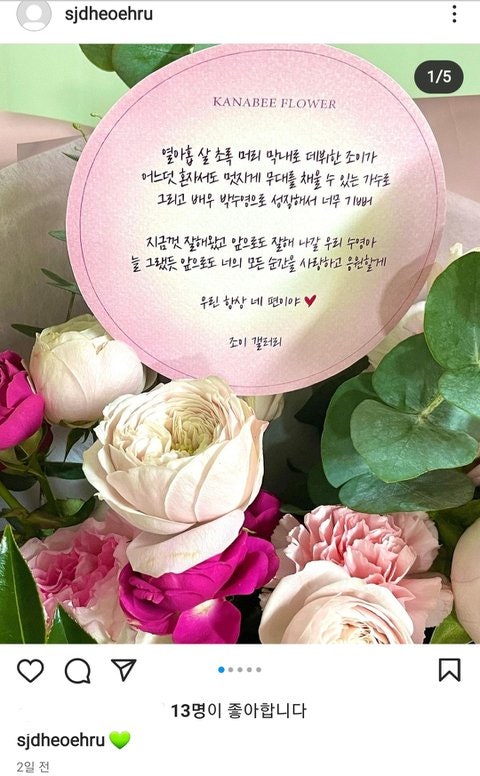 조이클린 이미지