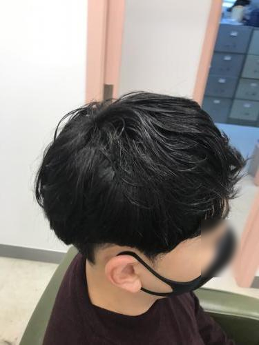 시스템엘르 이미지