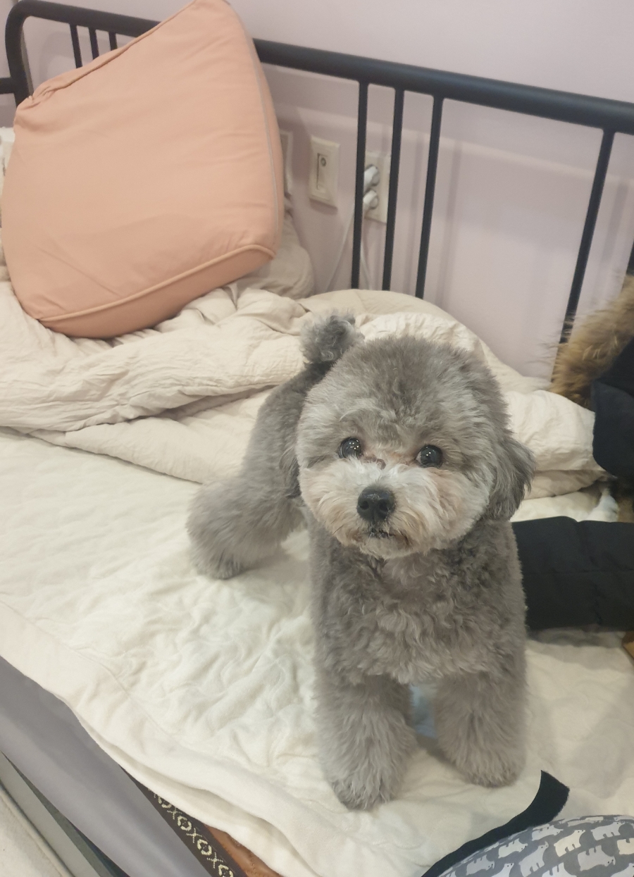 호텔비바체 이미지