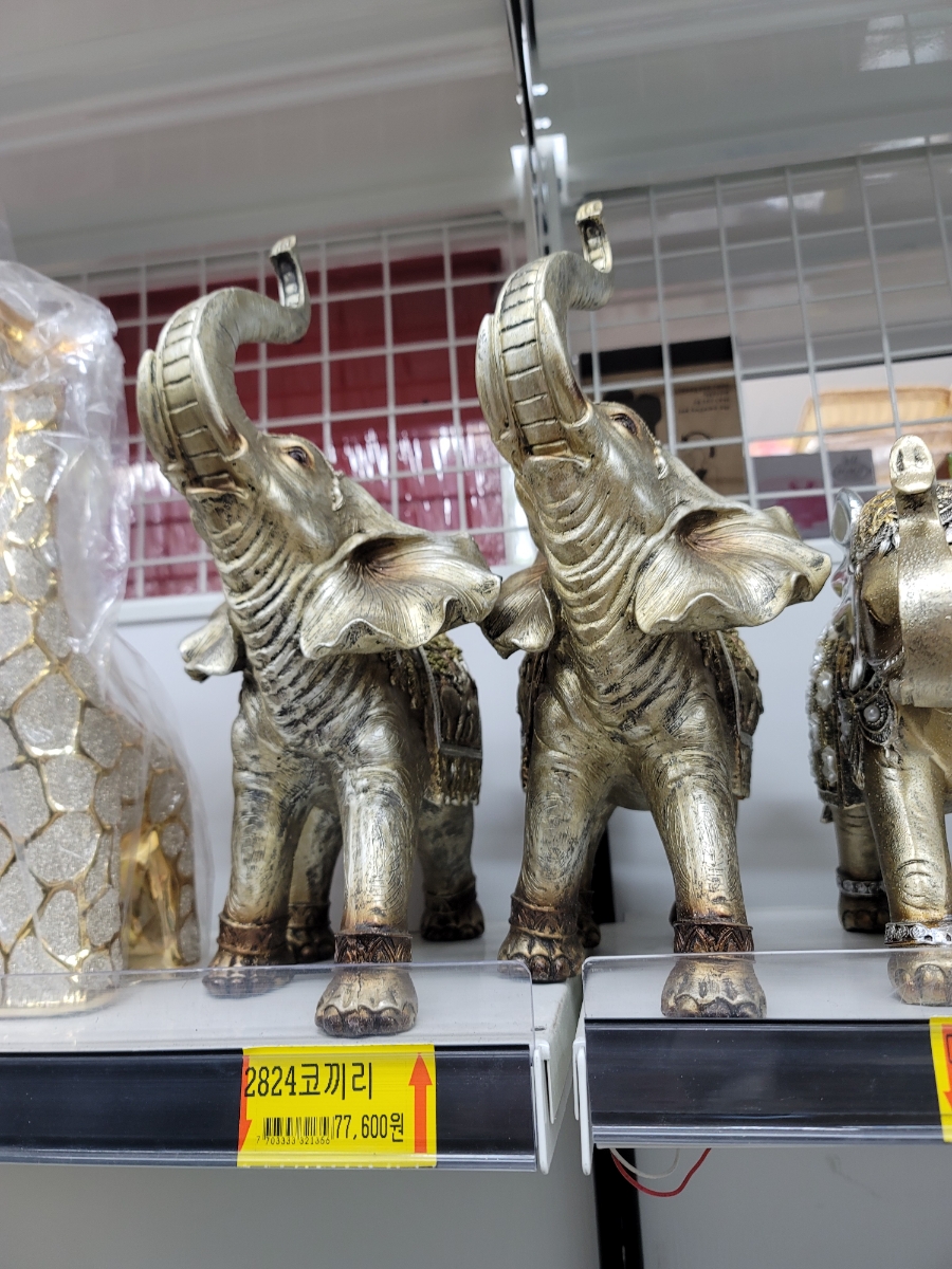클럽프라비다 이미지