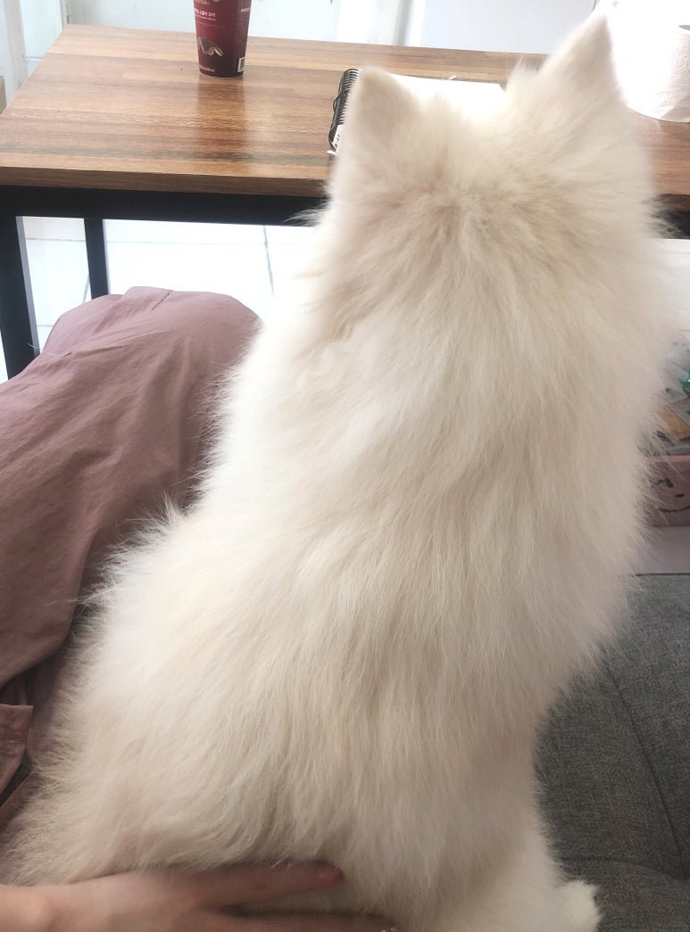 초원샵 이미지