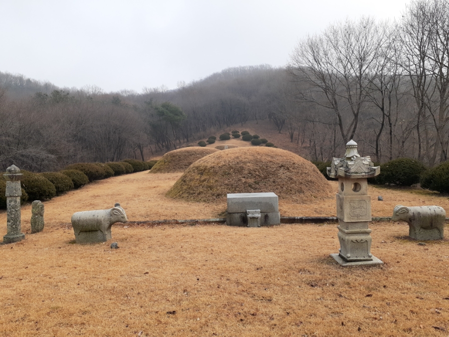 태양농수산물유통 이미지