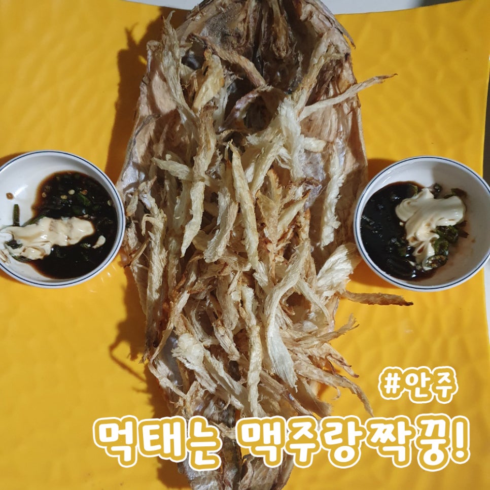 태양호프 이미지