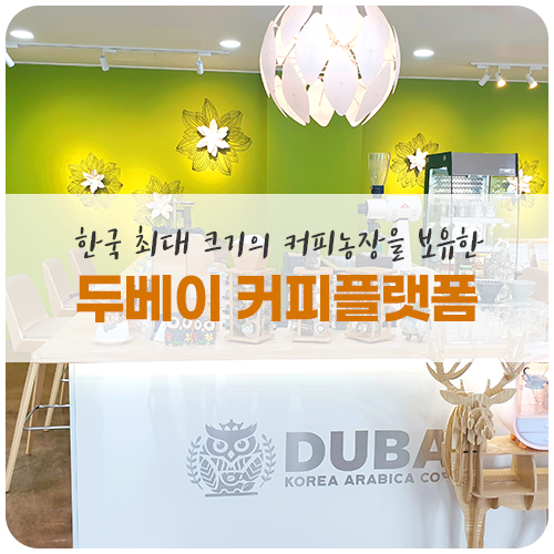 두베이 커피 플랫폼 이미지