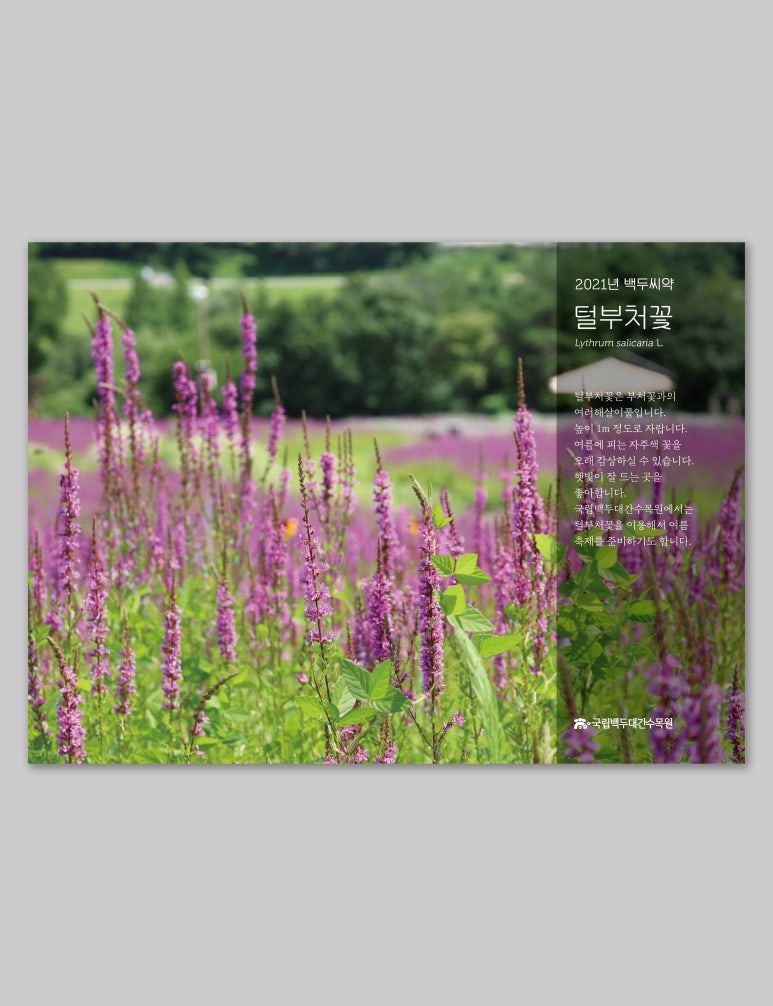 디자인창작소사월 이미지