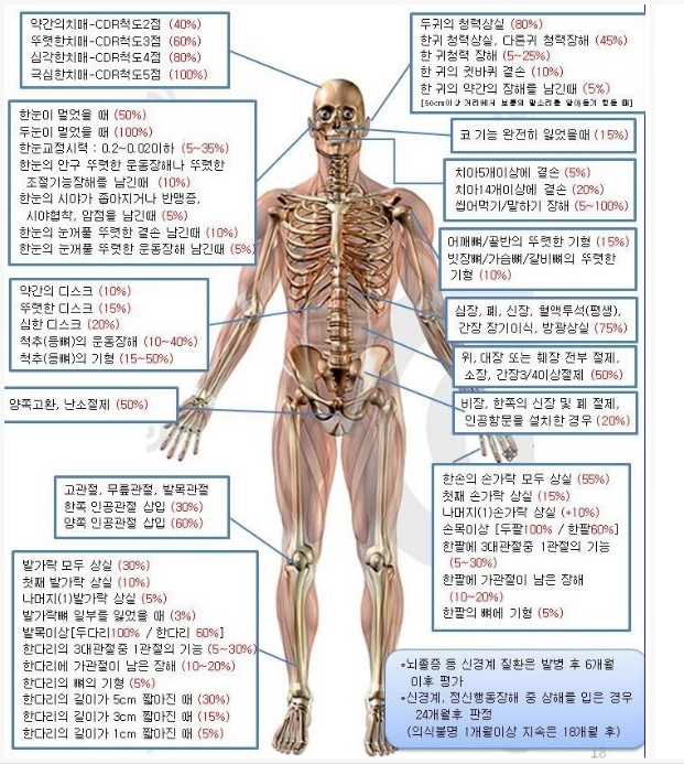 광명상재 이미지