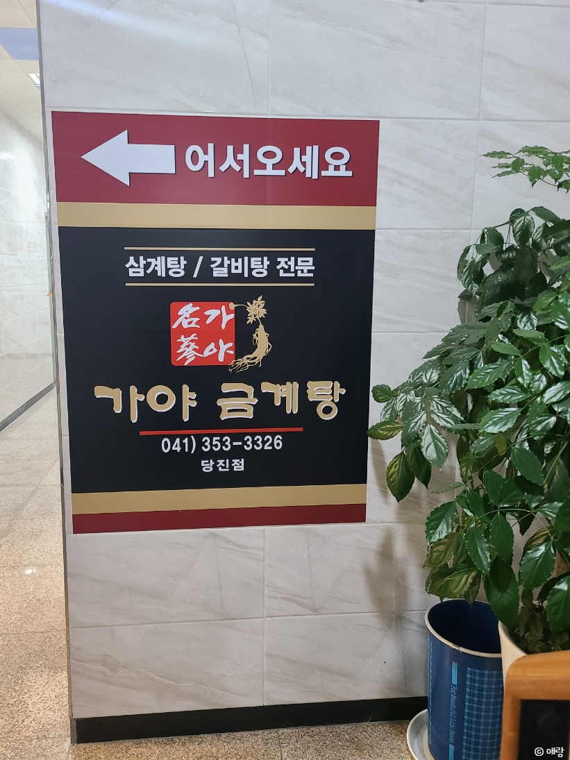 가야금계탕 이미지