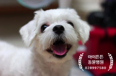 아이튼튼병원 이미지