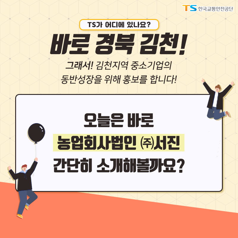 (주)서진 이미지