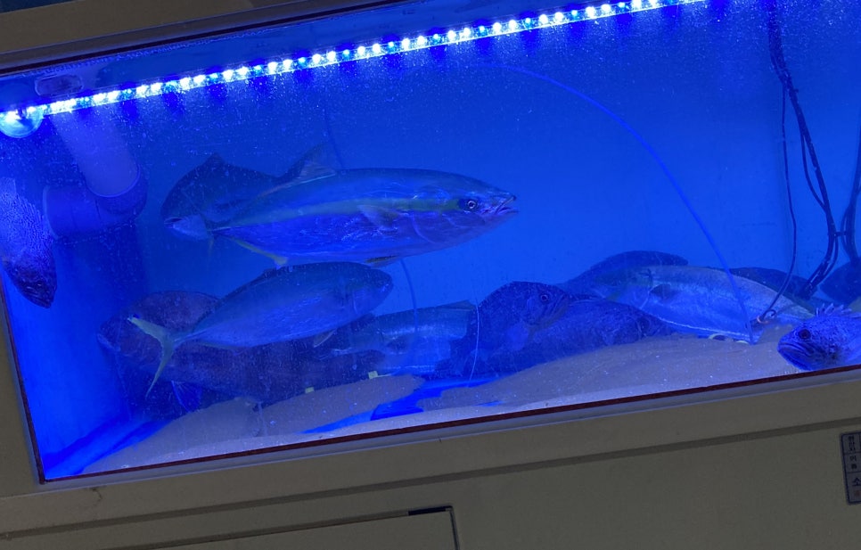 꼬미꼬미수산 이미지
