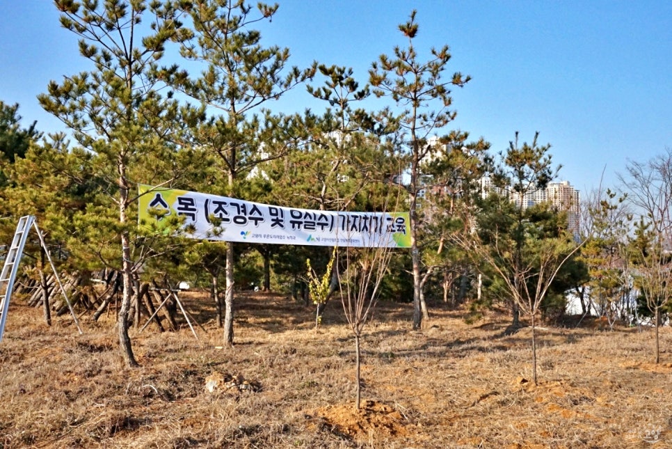 고양시산림조합임산물유통센터 이미지
