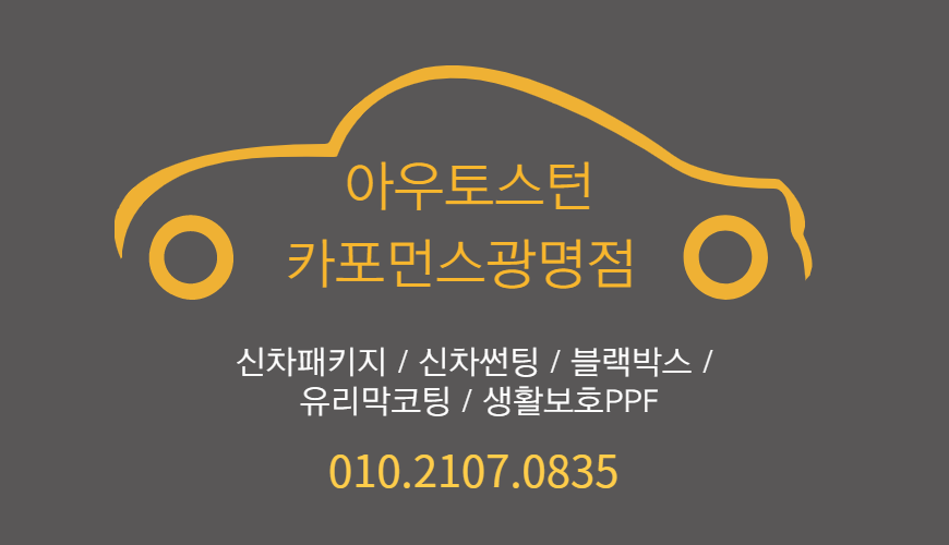 폴라버텍스 이미지