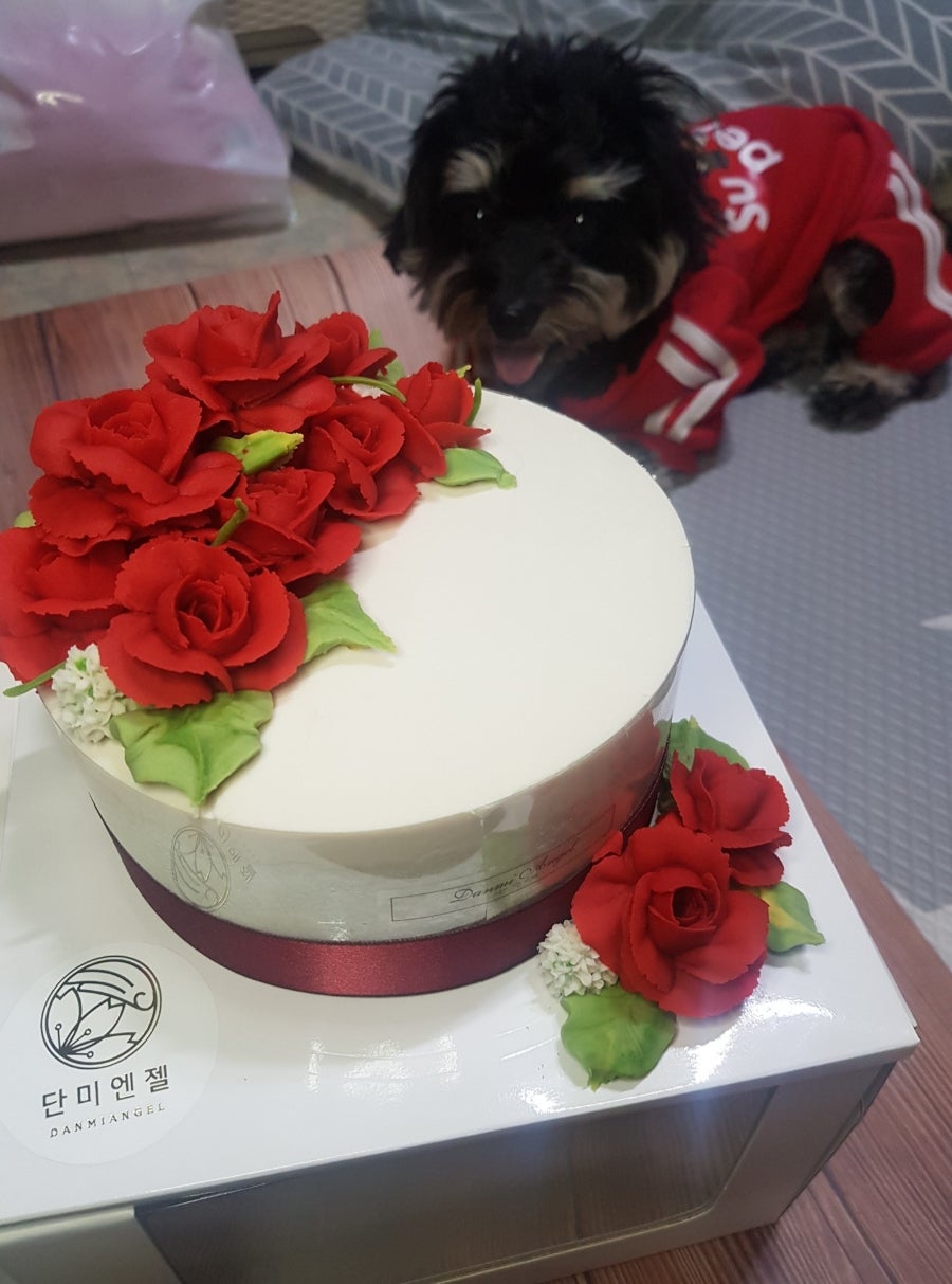 단미달콤떡케이크 이미지