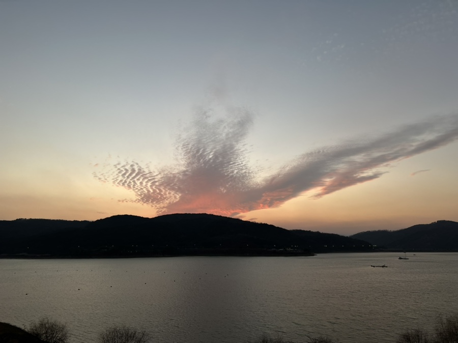 소바카제 이미지