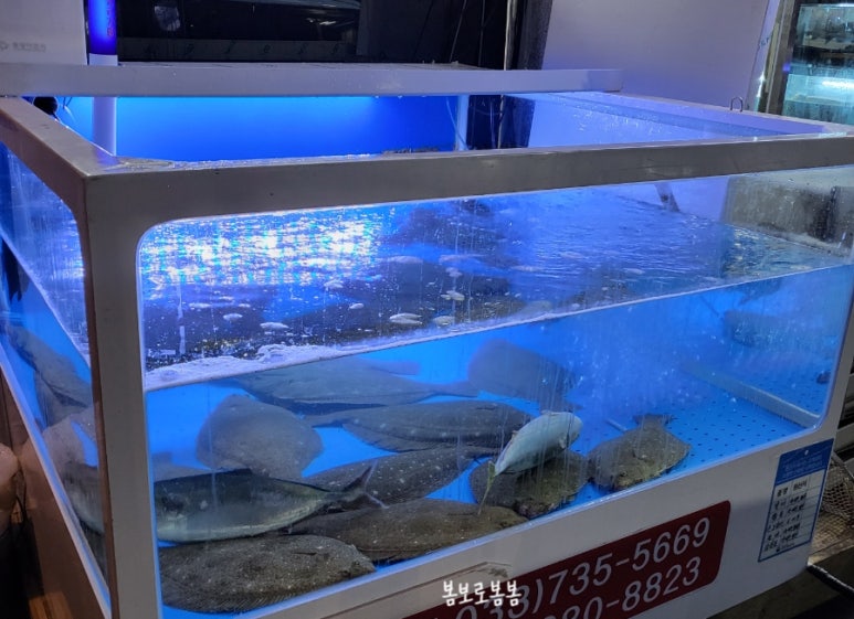 덕수수산 이미지