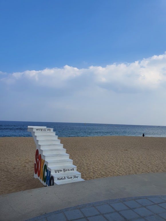 엔제리너스속초 이미지