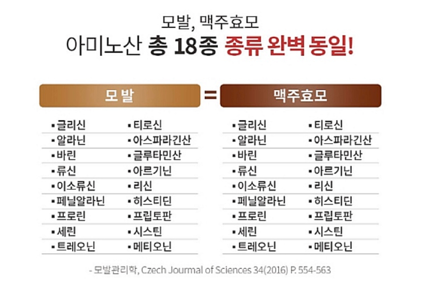 지지유 이미지