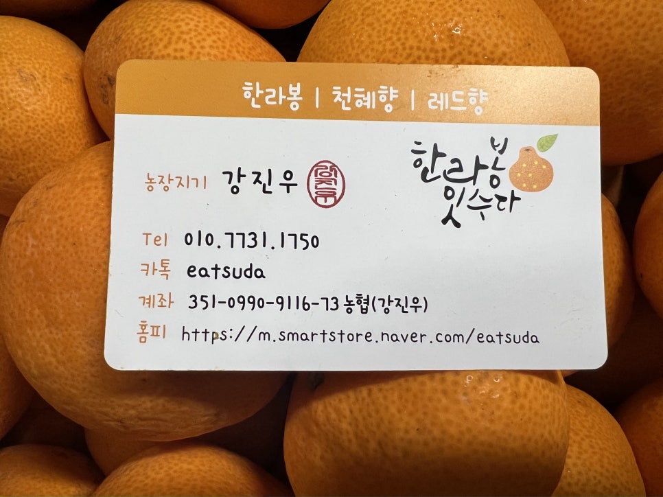 한라봉 잇수다 이미지