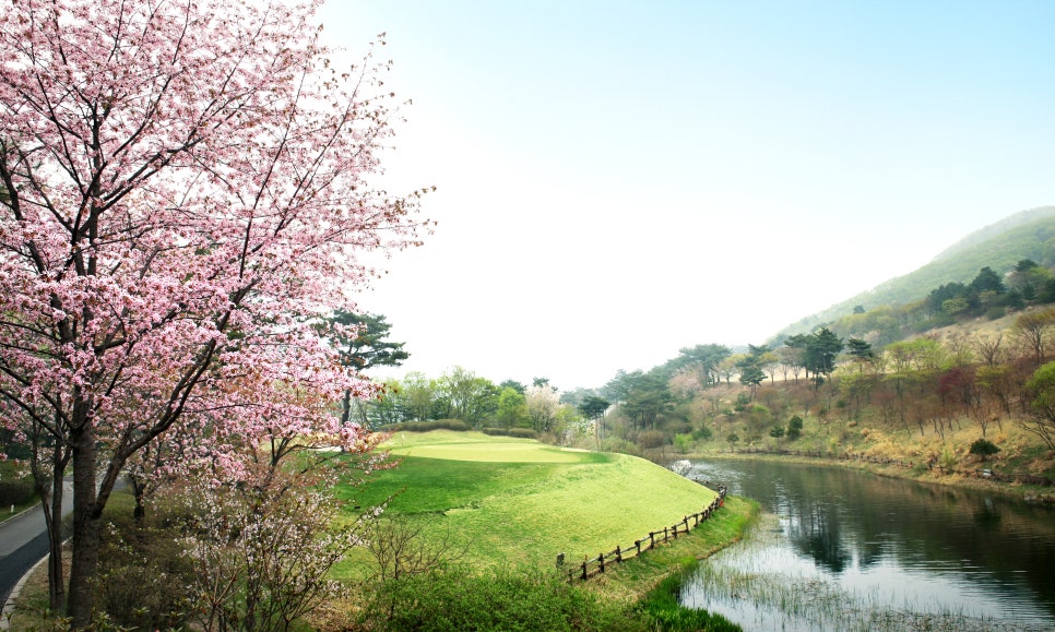 청평사계절 이미지