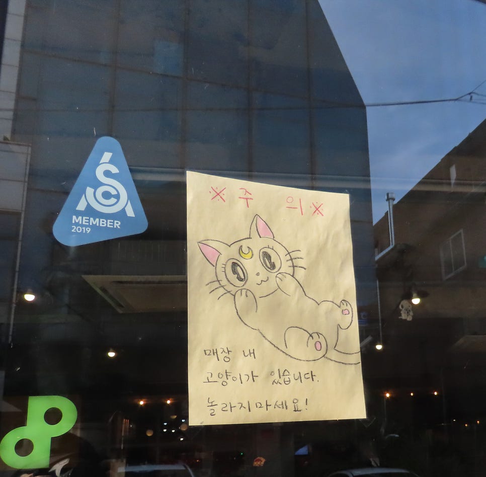 디스코플래닛 이미지