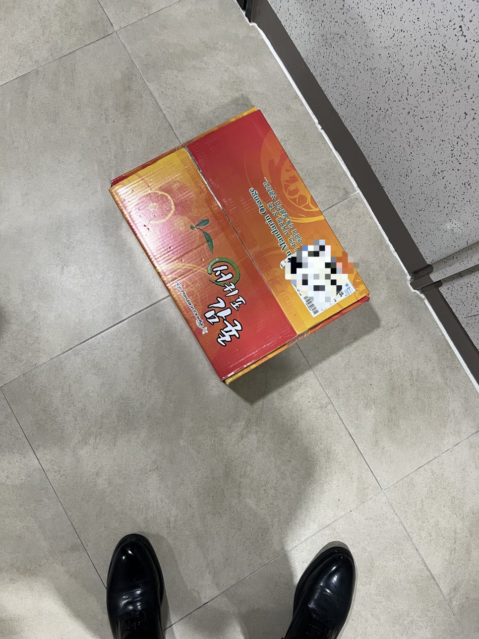 한라봉 잇수다 이미지