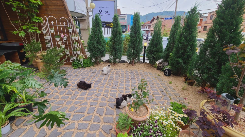 네일온즈 이미지
