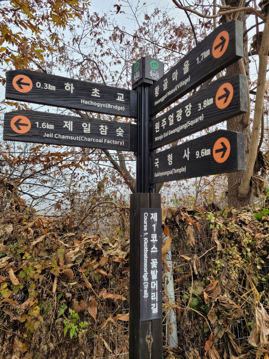 꿈꾸는애벌레자연놀이학교 이미지