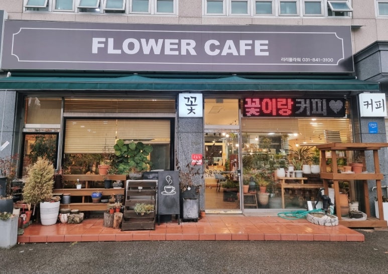리리플라워카페 이미지