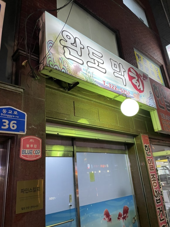 완도막회집 이미지