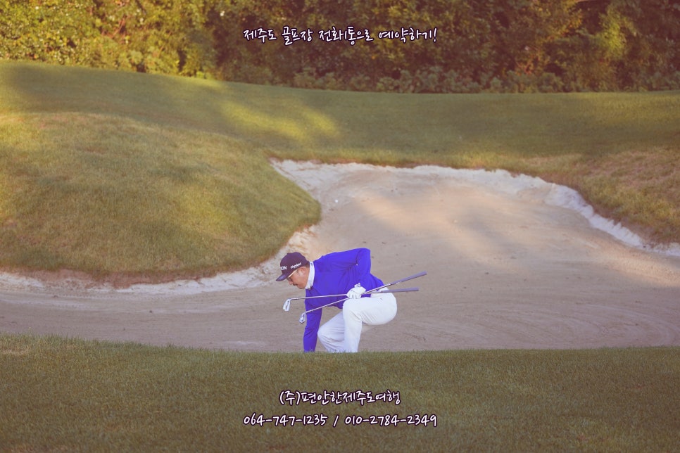 크라운렌트카주 이미지