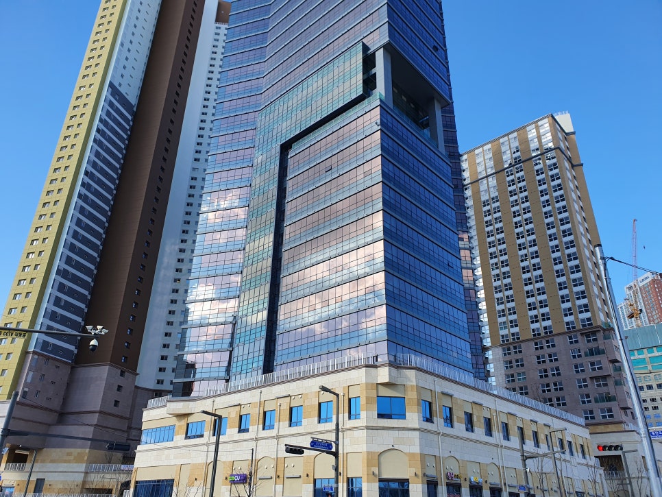 세무회계숲 이미지