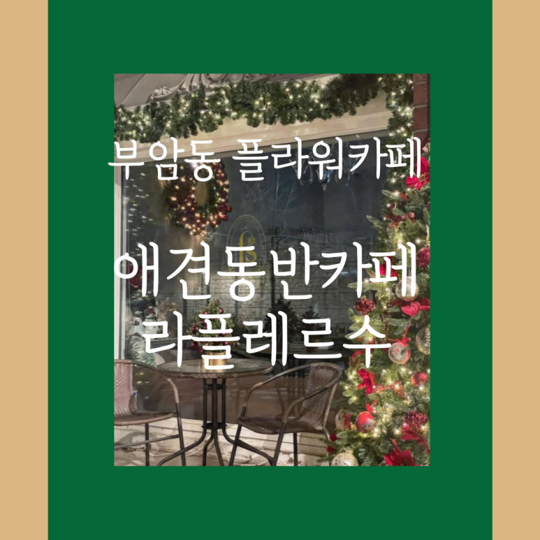 라플레르수 이미지