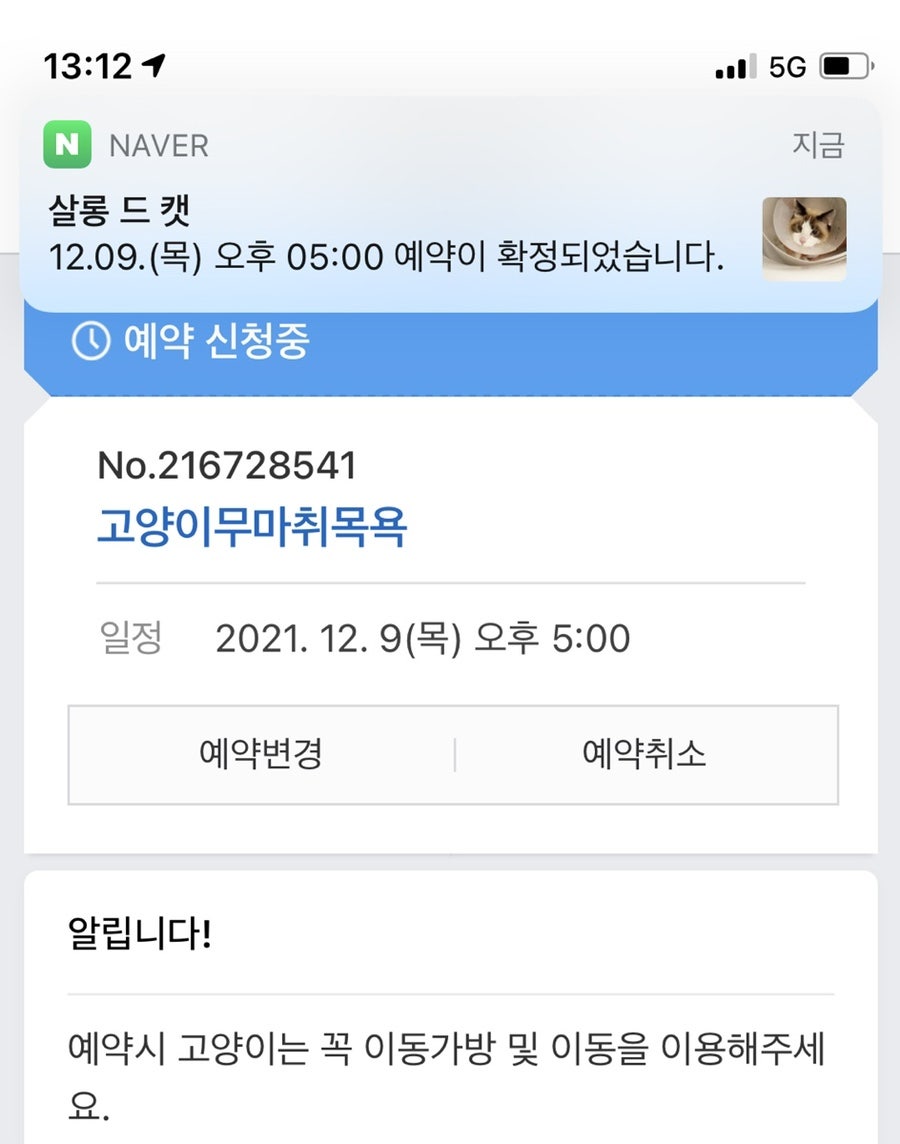 살롱드레오 이미지
