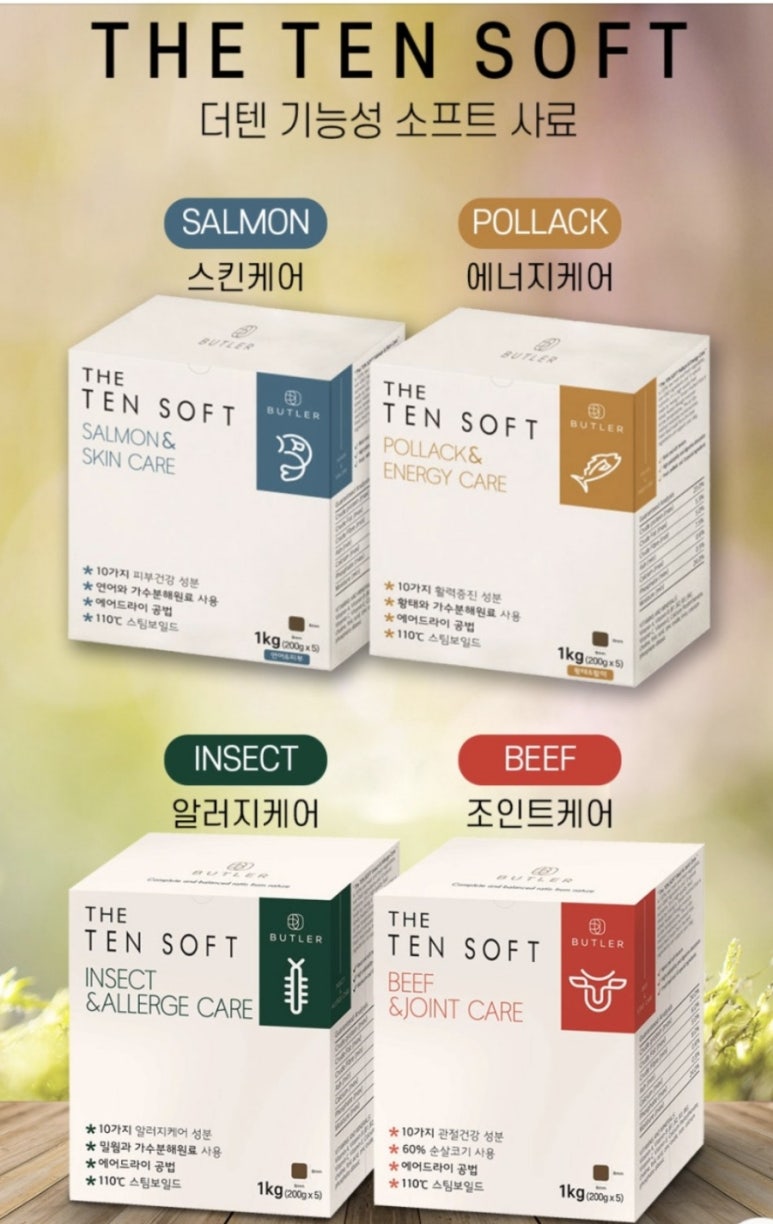 더텐 이미지