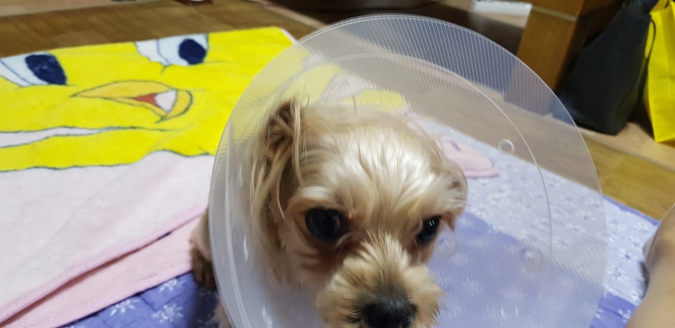 수니인테리어 이미지