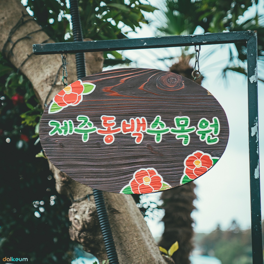 스튜디오위미리 이미지