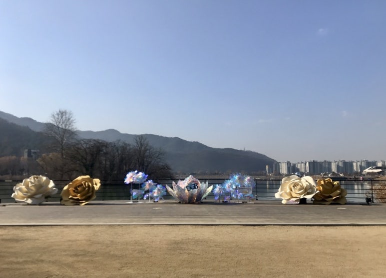 예신뷰 이미지