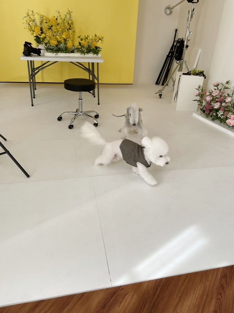 해피모먼트스튜디오 이미지