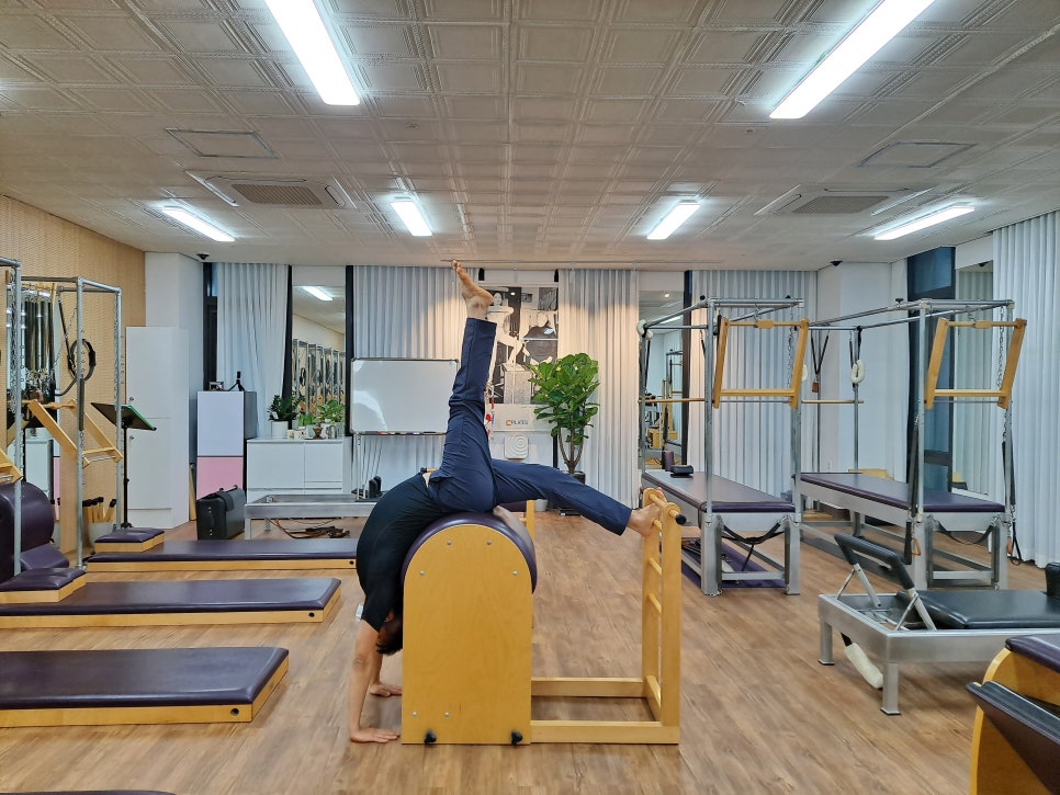몸디자인 이미지