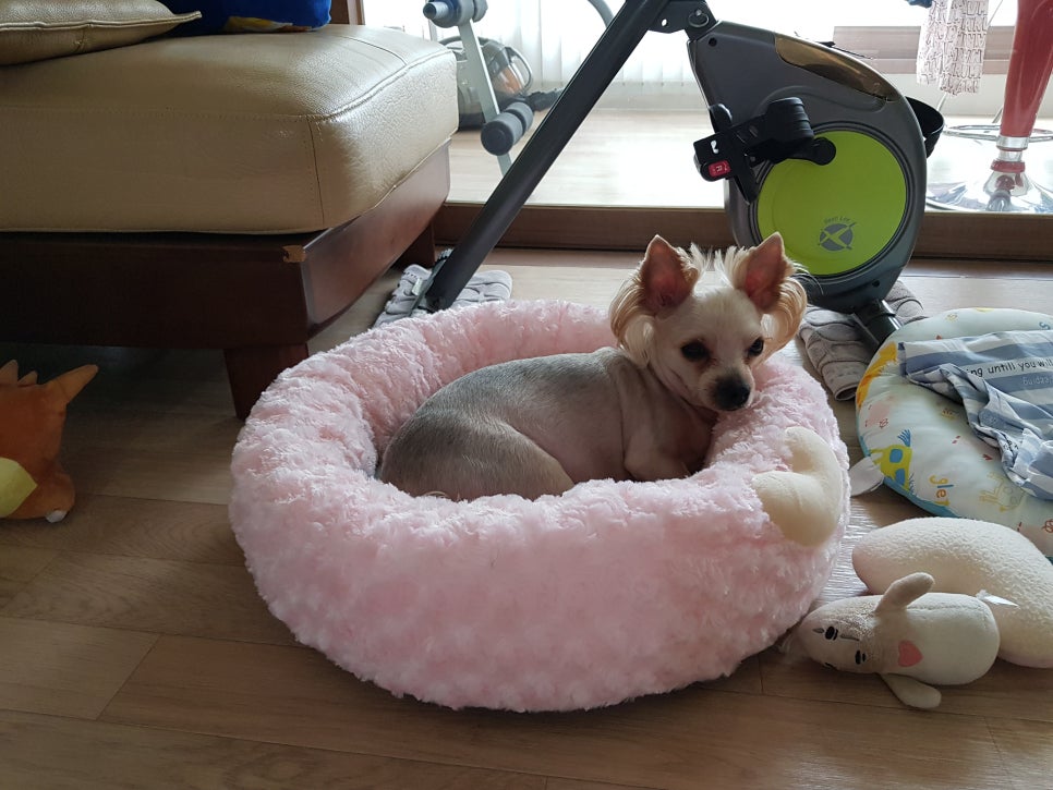 수니인테리어 이미지