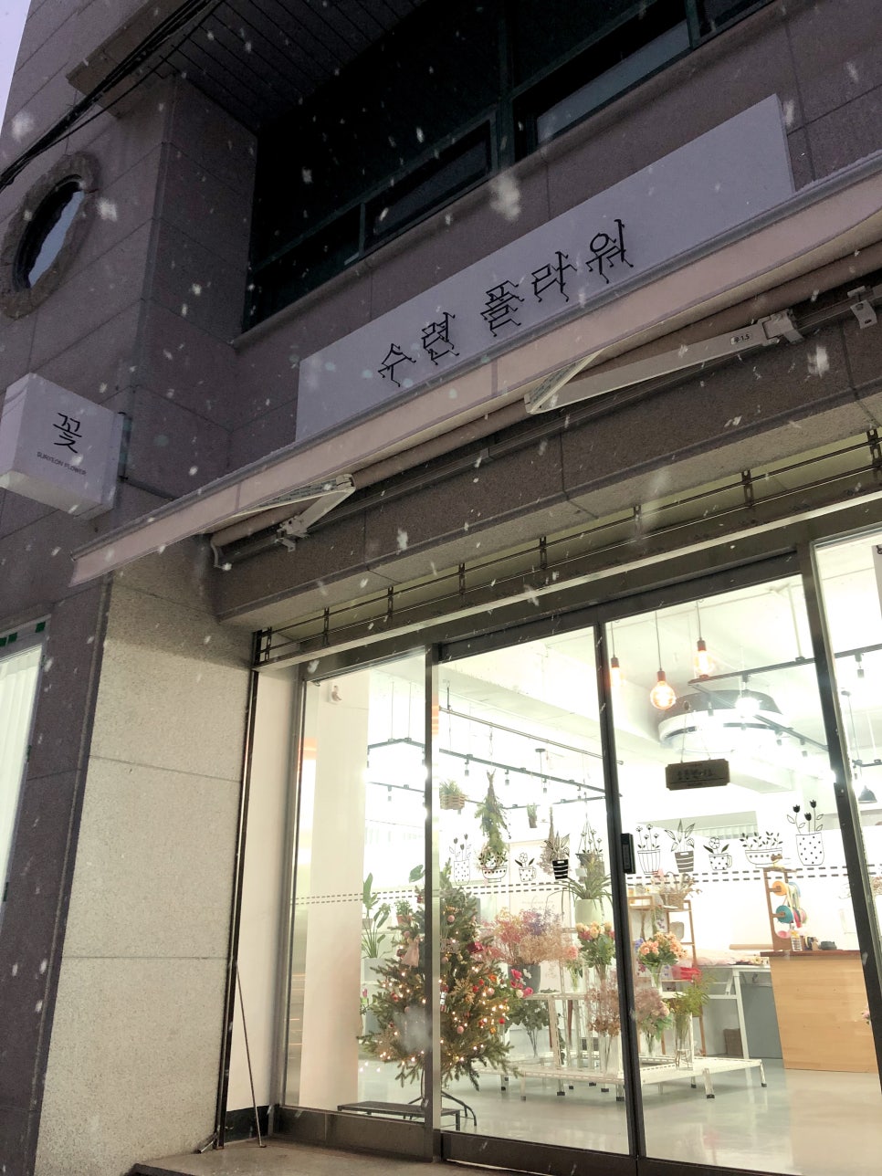 수련플라워 이미지