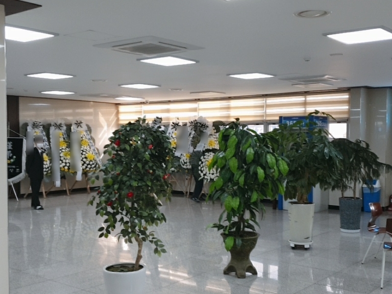 파란하늘상조 이미지