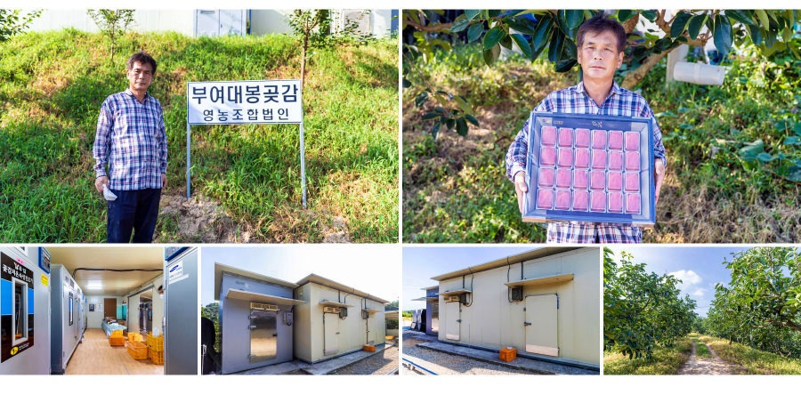 부여대봉곶감 이미지