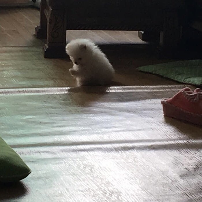찐네일 이미지