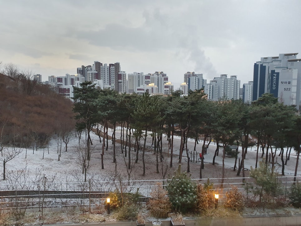 꿈이다스터디카페세종 이미지