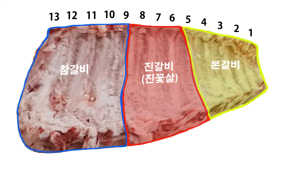 천지연민물 이미지